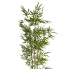 UK Building Decoration INDOOR Atficial Bamboo Tree 
