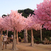 Clubhouse Decoration Indoor Artificial Cherry Tree 