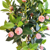 China Hotel Decoration Artificial Camellia Tree