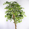 Building Decoration Indoor Artificial Ficus Tree
