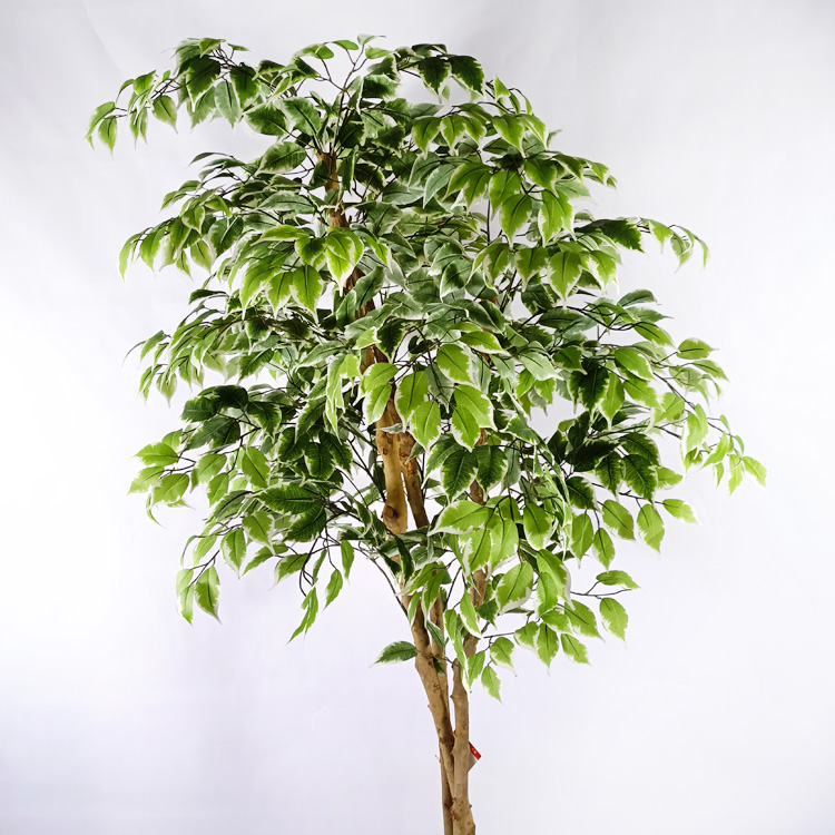 Building Decoration Indoor Artificial Ficus Tree