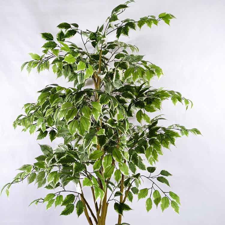 Building Decoration Indoor Artificial Ficus Tree