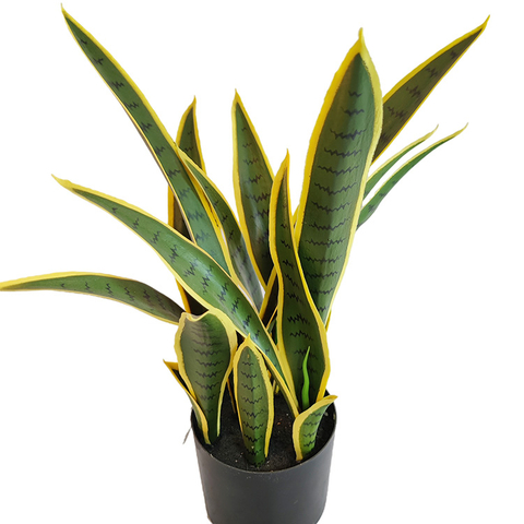 Canada Gardon Decoration Indoor Artificial Agave