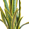 Clubhouse Decoration Indoor Artificial Agave