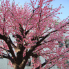 Hotel Decoration Indoor Artificial Peach Tree