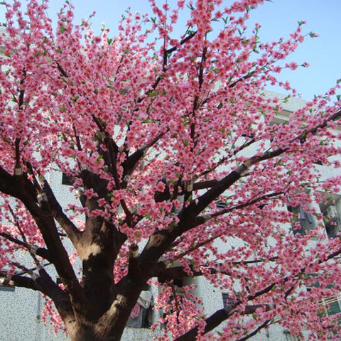 Office decoration indoor Artificial Peach Tree
