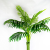 Singapore Gardon Decoration Artificial Areca Palm