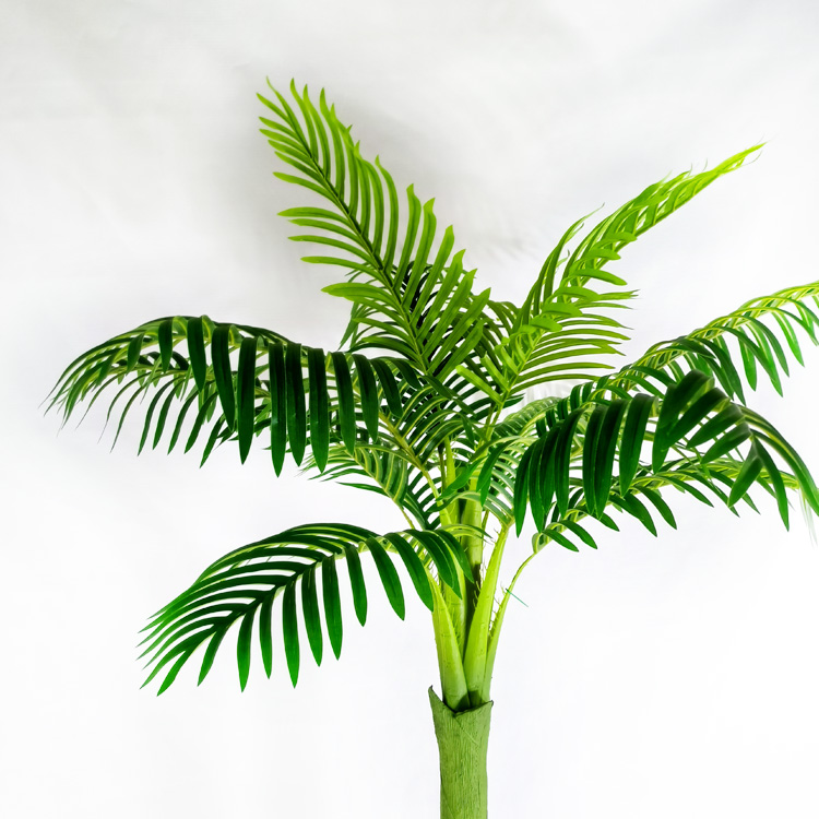 Singapore Gardon Decoration Artificial Areca Palm