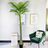 India Mall Decoration Indoor Artificial Areca Palm