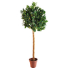Gardon Decoration Indoor Artificial Laurel Tree