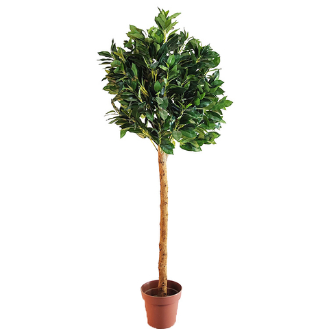 Gardon Decoration Indoor Artificial Laurel Tree