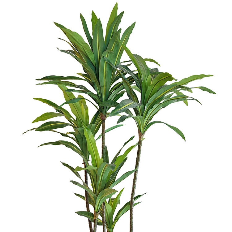 Thailand Hotel decoration indoor artificial Dracaena fragrans 