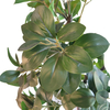 Australia Clubhouse Decoration Artificial Watercress Leaf 