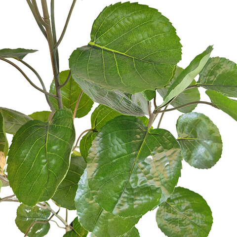 Japanese Mall Decoration Indoor Artificial Money Tree 