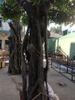 Landscape Decoration Factory Price Artificial Banyan Trees