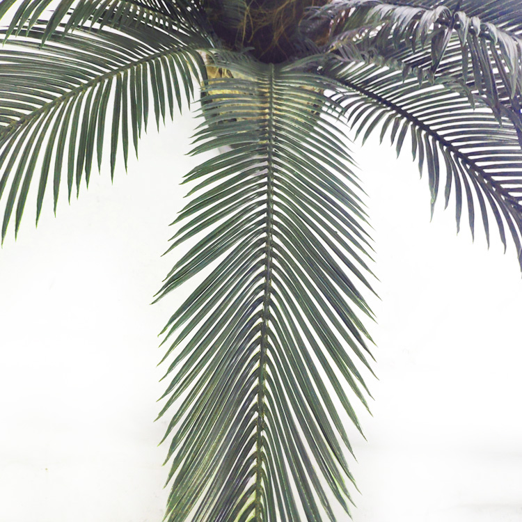 Asia Hotel Decoration Artificial Sago Cycas