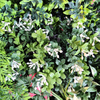 Fashion UV Fire Retardant Artificial Green Wall 