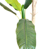 Hotel Decoration Indoor Artificial Banana Tree