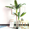 Factory Wholesale High Quality Artificial Banana Tree