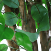 Mall Decoration Indoor Artificial Banyan Tree