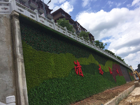 New Gardon Decoration Outdoor Artificial Green Wall 