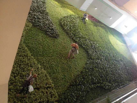 Malaysia Indoor Home Decoration Artificial Green Wall