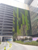 UK Fireproof And UV Artificial Green Wall 