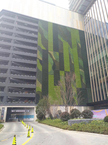 UK Fireproof And UV Artificial Green Wall 