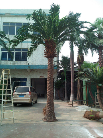 Hotel Decoration Outdoor Artificial Date Palm Tree