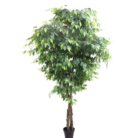 Mall Decoration Indoor Artificial Ficus Tree