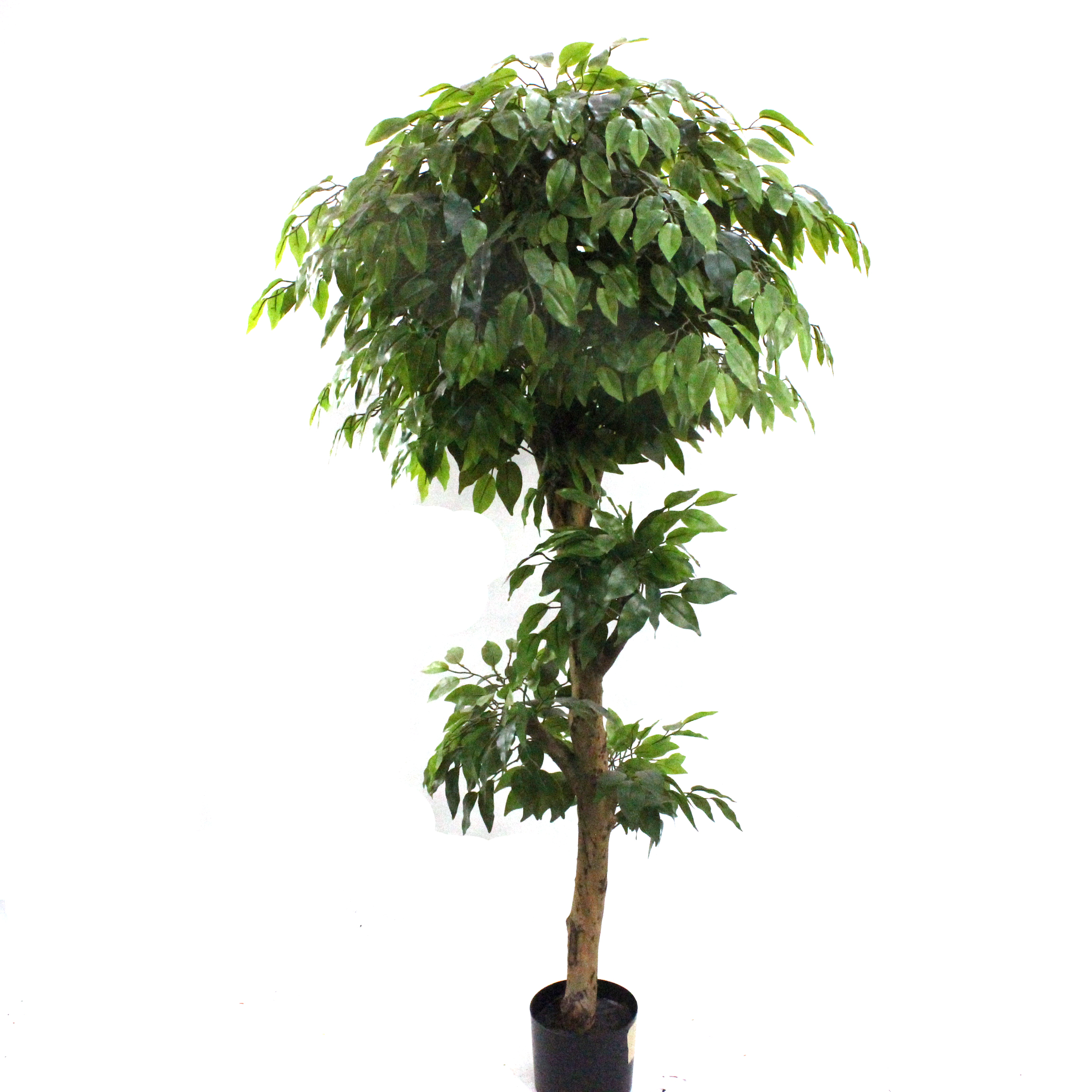 Australia Home Decoration Artificial Ficus Tree