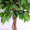 Bar Decoration Indoor Artificial Ficus Tree