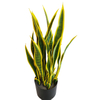 Mall Decoration Indoor Artificial Agave