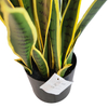 Clubhouse Decoration Indoor Artificial Agave