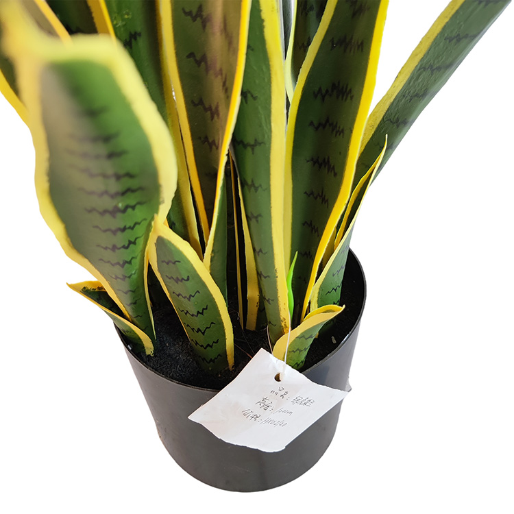 Clubhouse Decoration Indoor Artificial Agave
