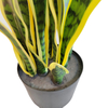 Tropical Africa Hotel Decoration Artificial Agave
