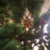 Factory Price Big Trunk Decorative Artificial Pine Trees