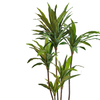 Thailand Hotel decoration indoor artificial Dracaena fragrans 