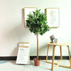 Gardon Decoration Indoor Artificial Laurel Tree