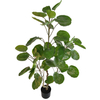 Japanese Mall Decoration Indoor Artificial Money Tree 
