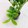 Home Decoration Indoor Artificial Money Tree