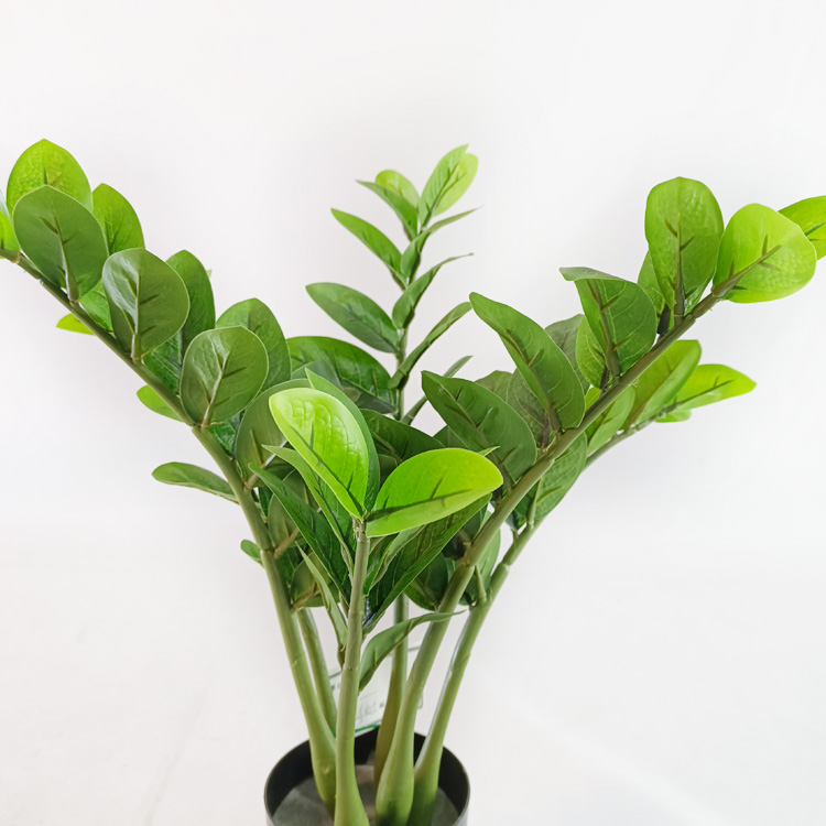 Home Decoration Indoor Artificial Money Tree