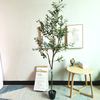 India Hotel Decoration Indoor Artificial Olive Tree