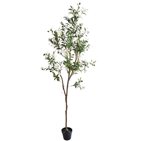 India Hotel Decoration Indoor Artificial Olive Tree