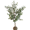 Dubai Gardon Decoration Indoor Artificial Olive Plant 