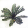 Asia Hotel Decoration Artificial Sago Cycas