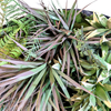 Gardon Decoration Fireproof And UV Artificial Green Wall 