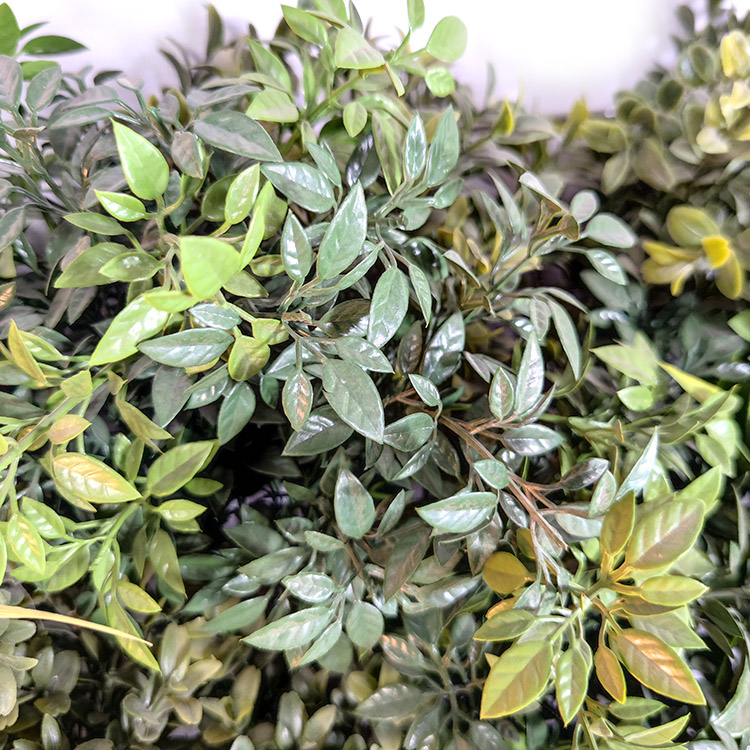 India Fireproof And UV Artificial Green Wall 