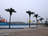 Swimming Pool Decoration Outdoor Artificial Coconut Tree