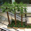 Building Decoration Outdoor Artificial Palm Tree